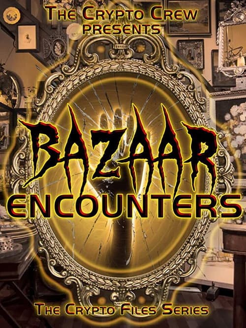 Poster for Bazaar Encounters