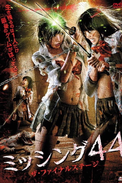 Poster for Missing 44 The Final Stage