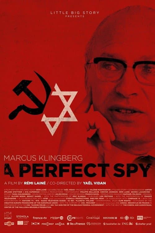 Poster for Marcus Klingberg, un pur espion