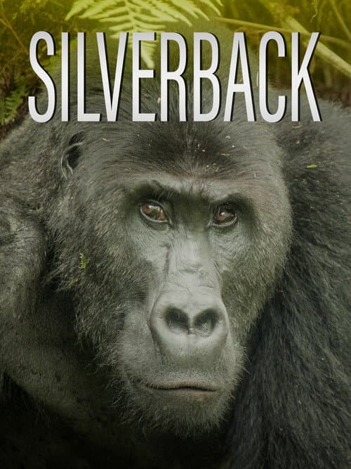 Poster for Silverback