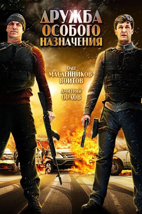 Poster for Friendship of a Special Purpose