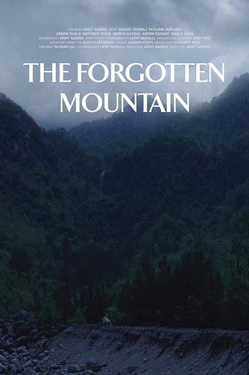 Poster for The Forgotten Mountain