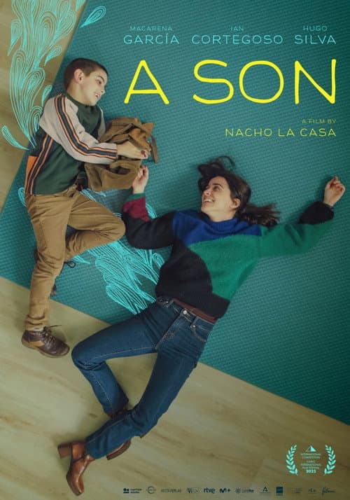 Poster for A Son