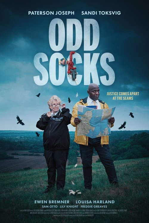 Poster for Odd Socks