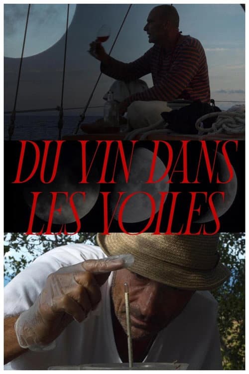 Poster for Du vin dans les voiles