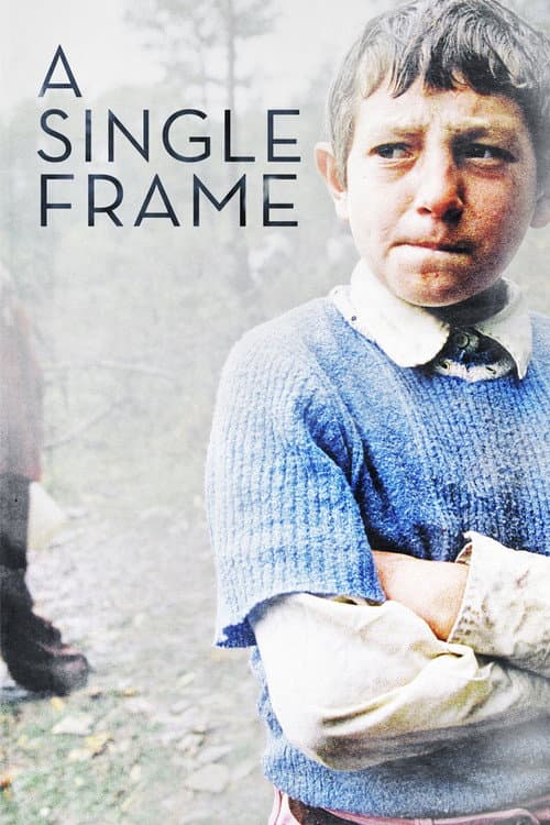 Poster for A Single Frame
