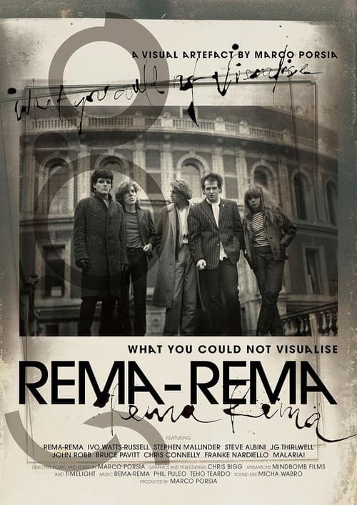 Poster for What You Could Not Visualise