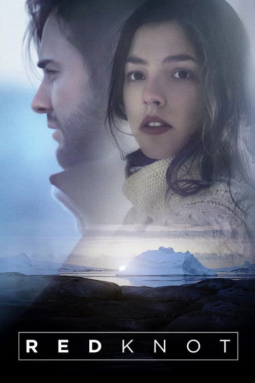 Poster for Red Knot