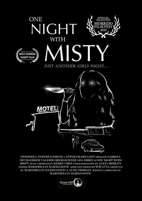 Poster for One Night with Misty