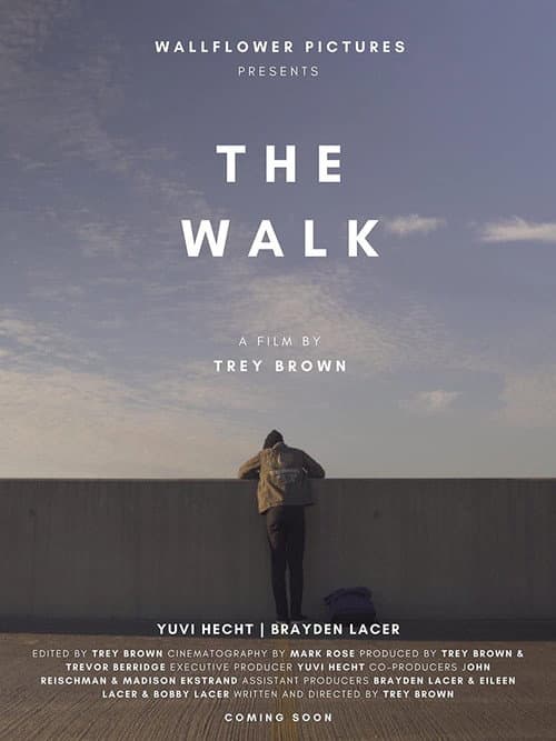 Poster for The Walk