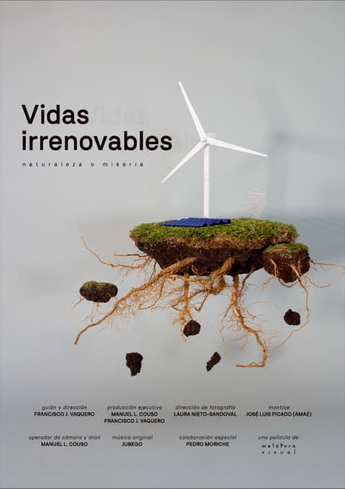 Poster for Vidas Irrenovables
