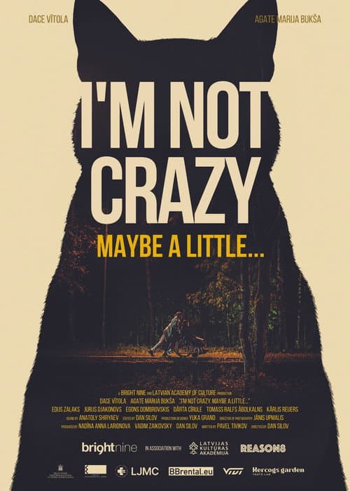 Poster for I'm not crazy. Maybe a little...