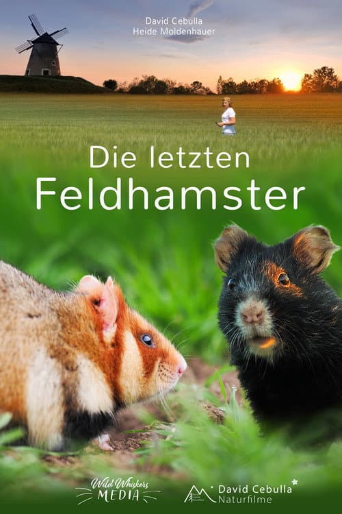 Poster for The Last Common Hamsters