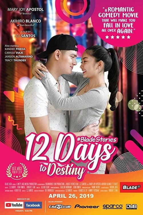 Poster for 12 Days to Destiny