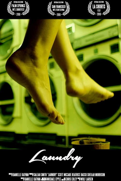 Poster for Laundry