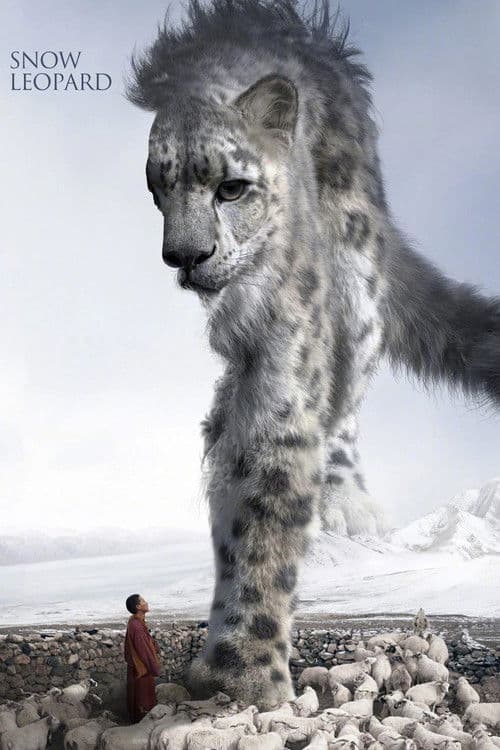 Poster for Snow Leopard