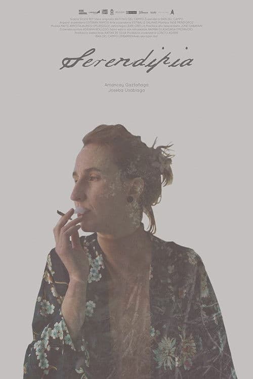 Poster for Serendipity