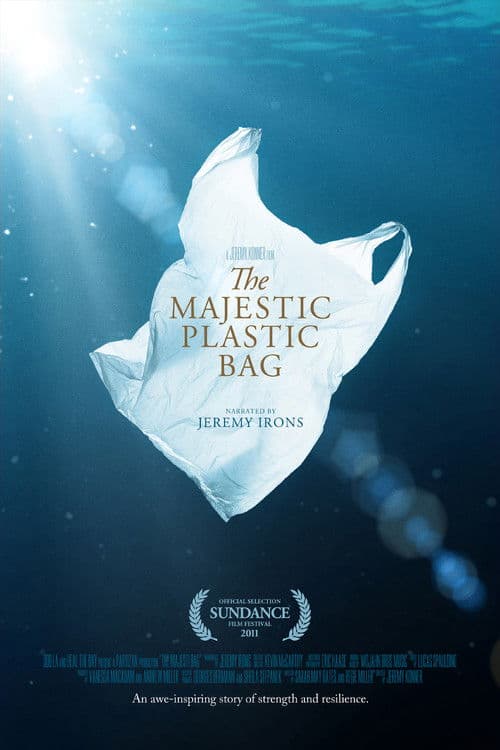 Poster for The Majestic Plastic Bag