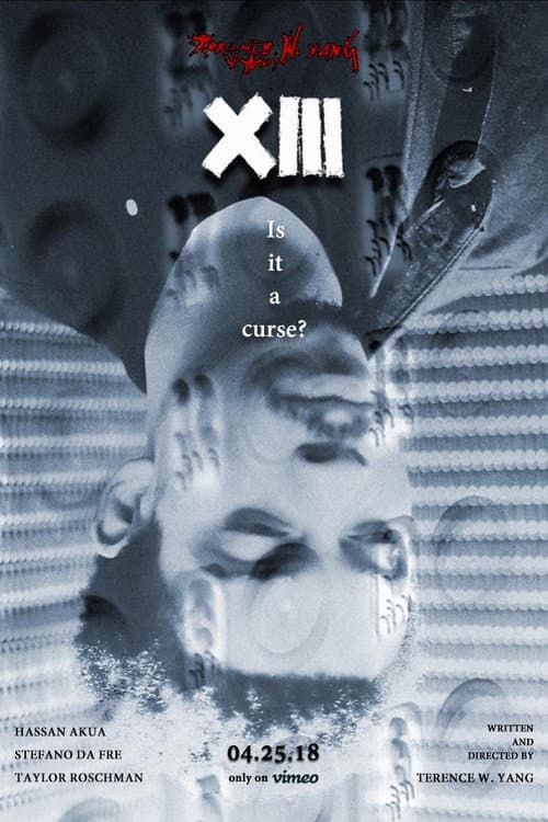 Poster for XIII