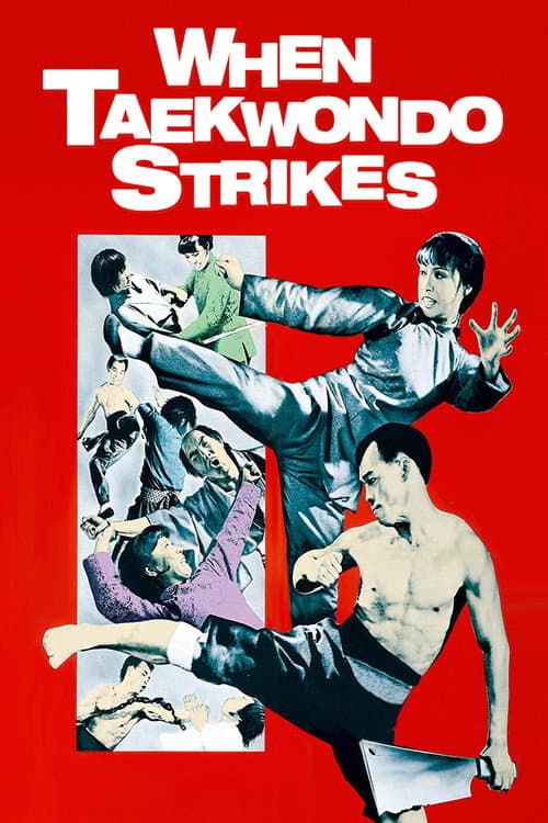 Постер до фільму «When Taekwondo Strikes»