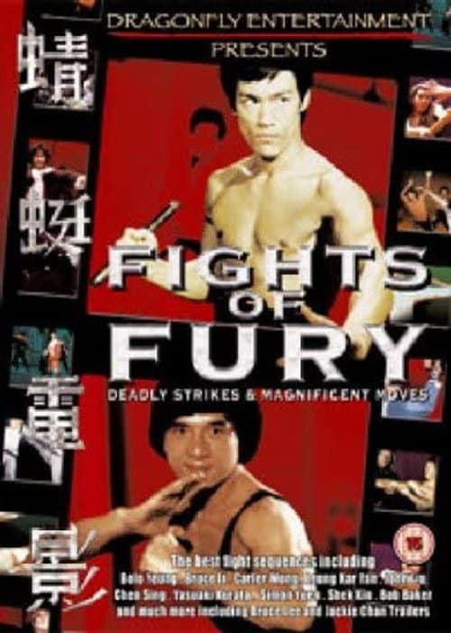 Poster for Fights of Fury