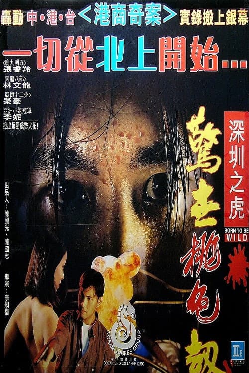 Poster for Born to Be Wild