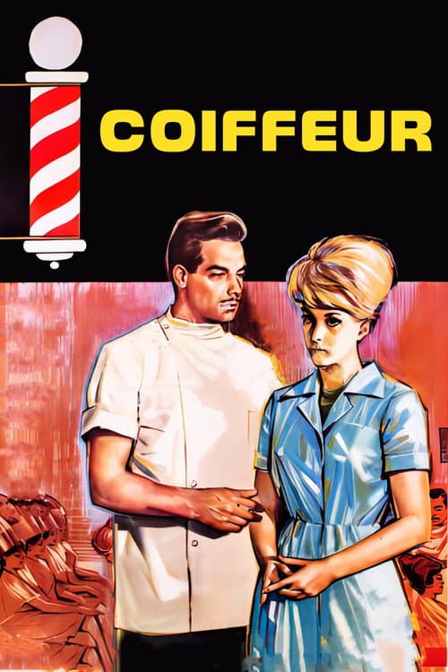 Poster for Kadın Berberi
