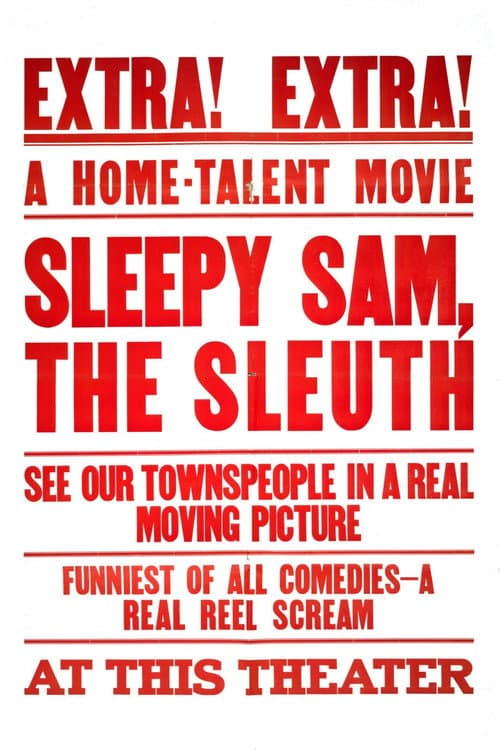 Poster for Sleepy Sam, the Sleuth
