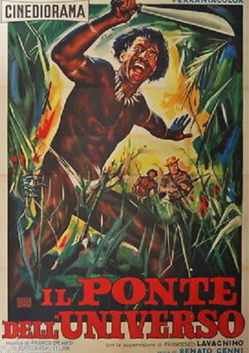 Poster for Il ponte dell'universo