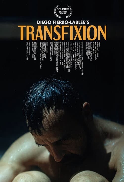 Poster for Transfixion