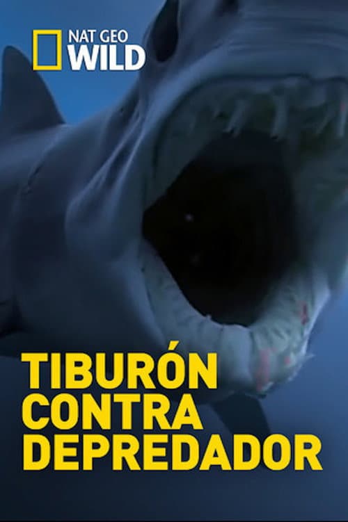 Poster for Shark Vs Predator