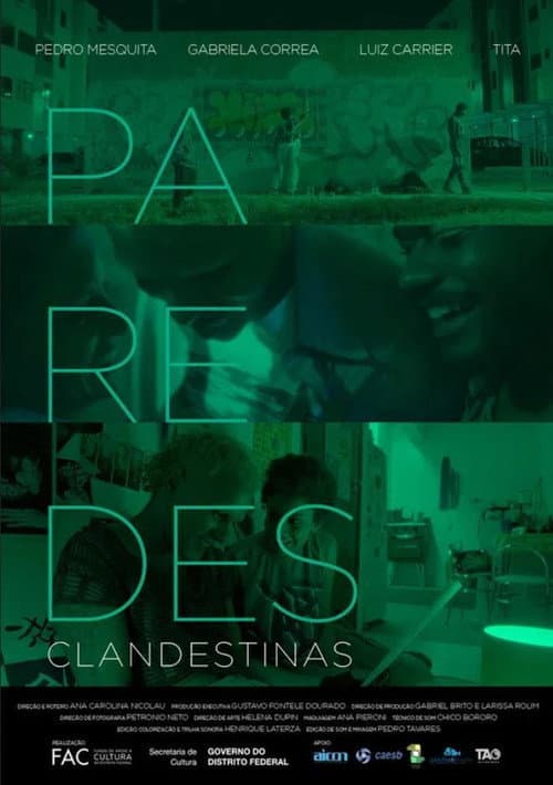 Poster for Hidden Walls