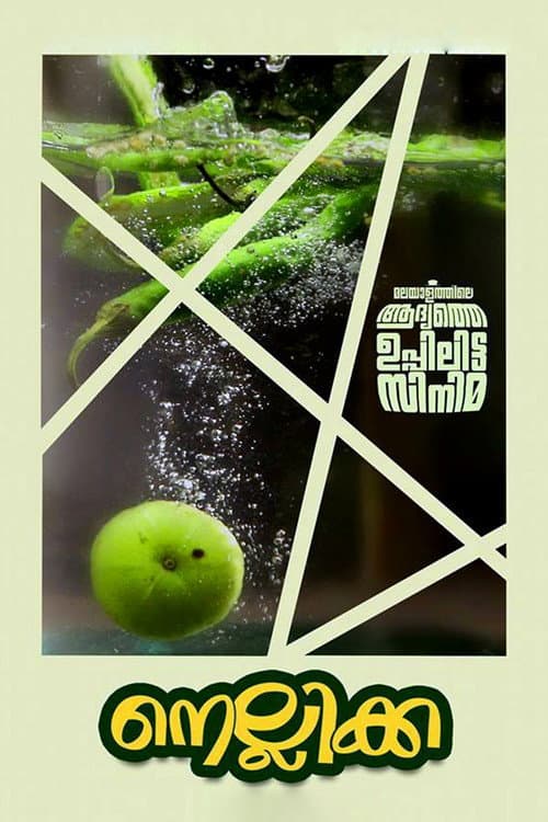 Poster for Nellikka