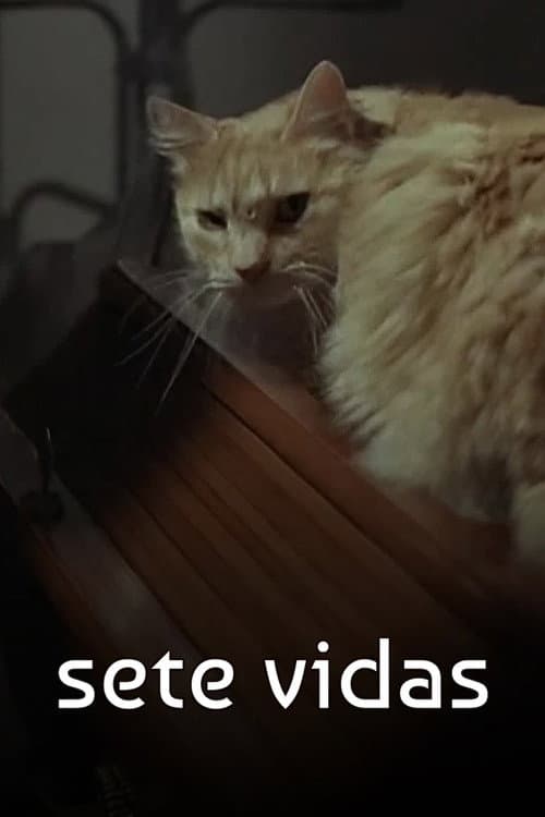 Poster for Sete Vidas