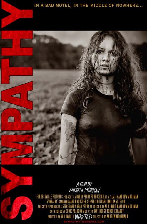 Poster for Sympathy