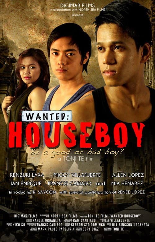 Poster for Wanted: Houseboy
