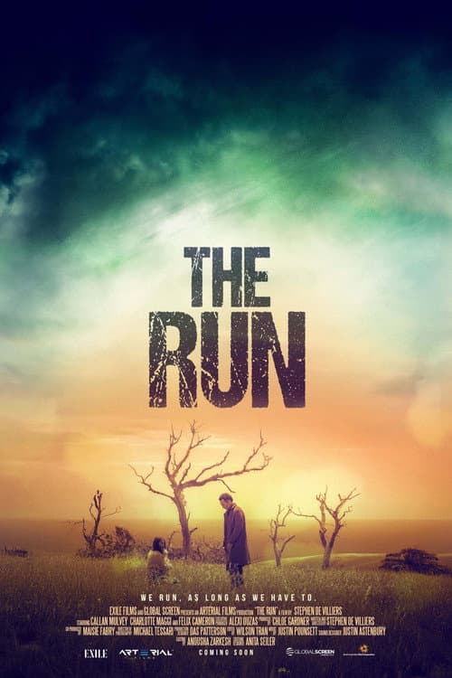 Poster for The Run