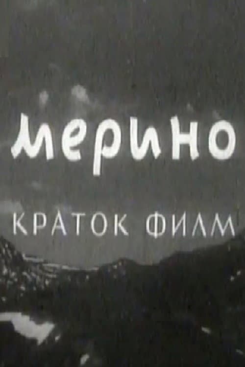 Poster for Merino