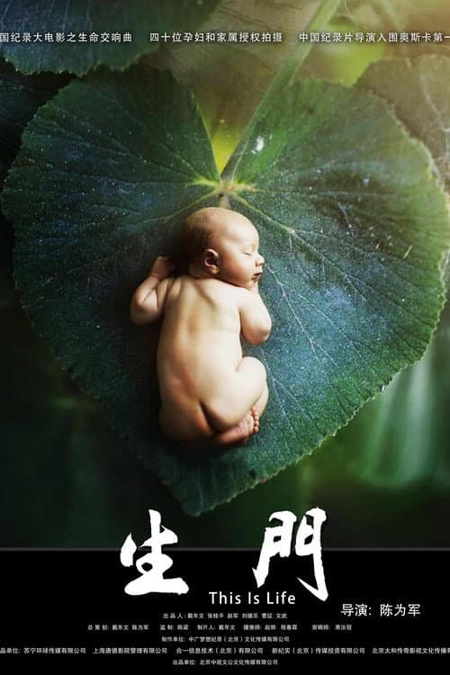 Poster for This is Life