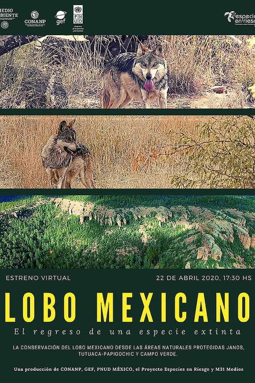 Poster for Lobo Mexicano