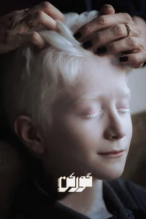Poster for The Badger