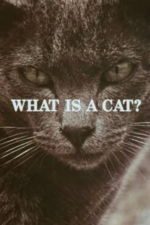 Poster for What Is a Cat?