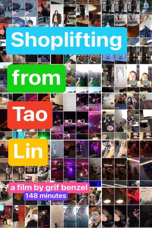 Poster for Shoplifting from Tao Lin
