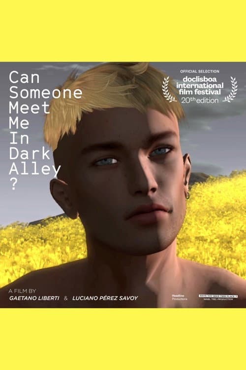 Poster for Can Someone Meet Me in Dark Alley?