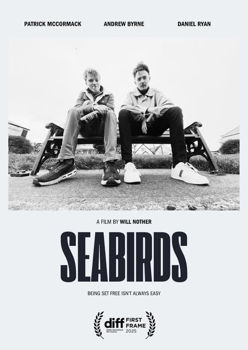 Poster for Seabirds