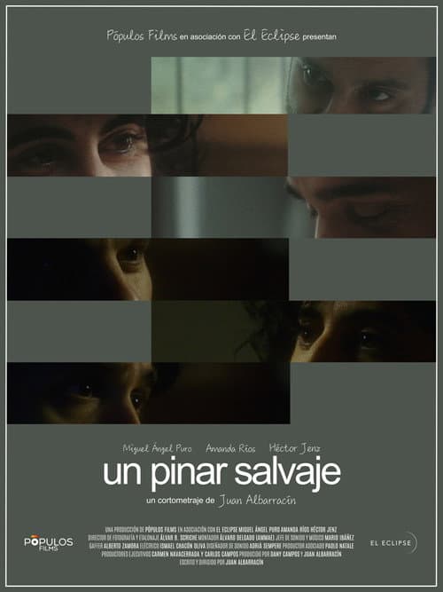 Poster for Un pinar salvaje