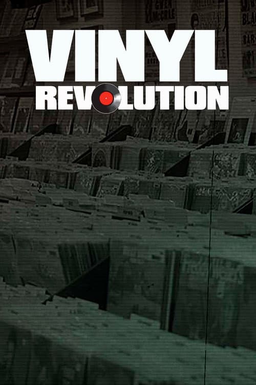 Poster for Vinyl Revolution