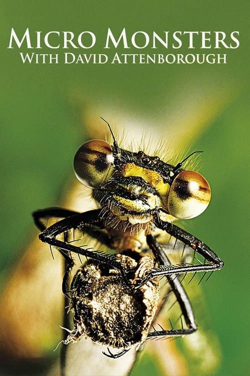 Poster for Micro Monsters with David Attenborough