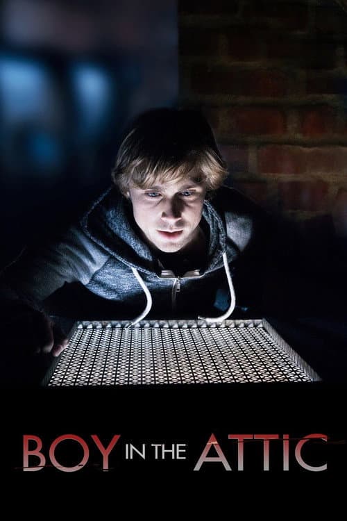 Poster for Secrets in the Attic