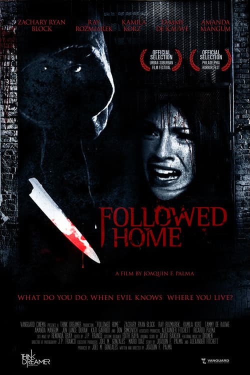 Poster for Followed Home